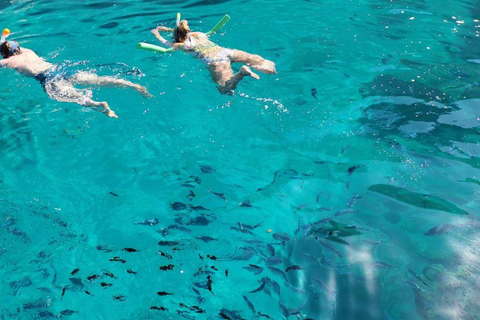 Excursions de pêche à Zante