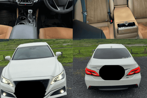 Osaka/Kobe: Tour guiado particular pela região de Kansai - Serviço de busca no hotelOsaka e Kobe: City Tour com serviço de busca no hotel