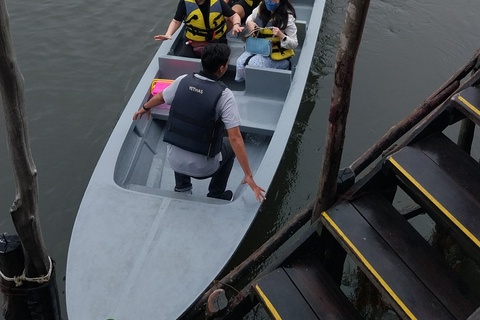 Bintan Tour Mangrove or Fireflies Fireflies Tour