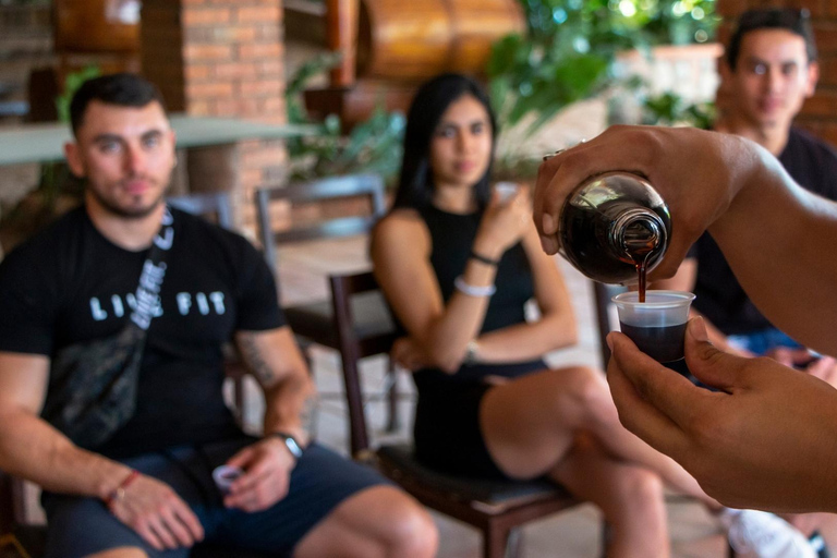 Puerto Vallarta: Jorullo Bridge RZR Tour RZR: Group of 3-4 Passengers - Nuevo Vallarta Meeting Point