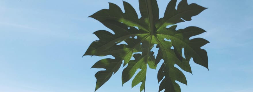 De Hue à Hoi An en passant par le col de Hai Van en moto avec Easy Riders