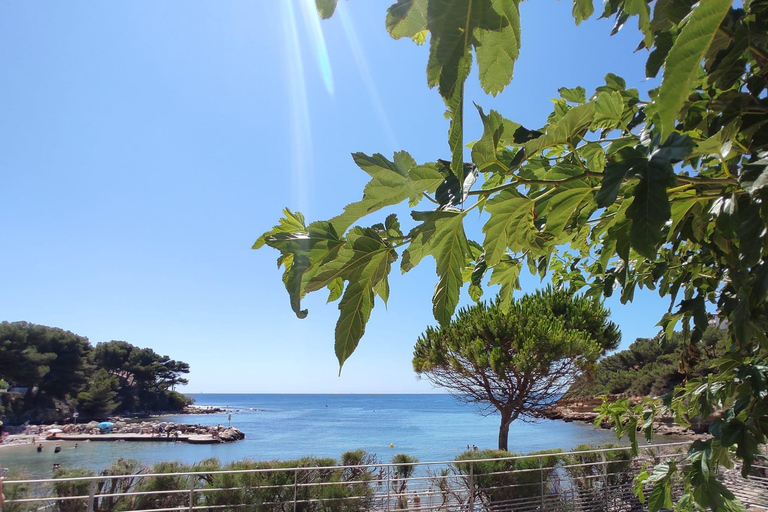 Snorkeling on the Côte Bleue