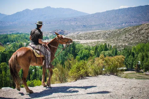 From Mendoza: Sunset Horseback Ride and Asado in the Andes