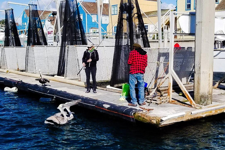 لوس أنجلوس: الإبحار عند غروب الشمس مع الموسيقى