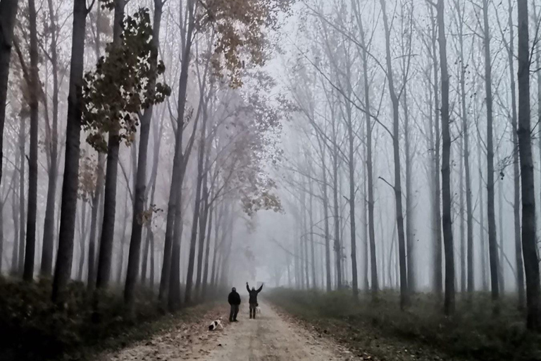Belgrade: Truffle Hunting Tour With Dogs, Lunch & Wine