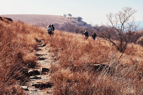 Klipriviersberg Nature Reserve 10km Hike