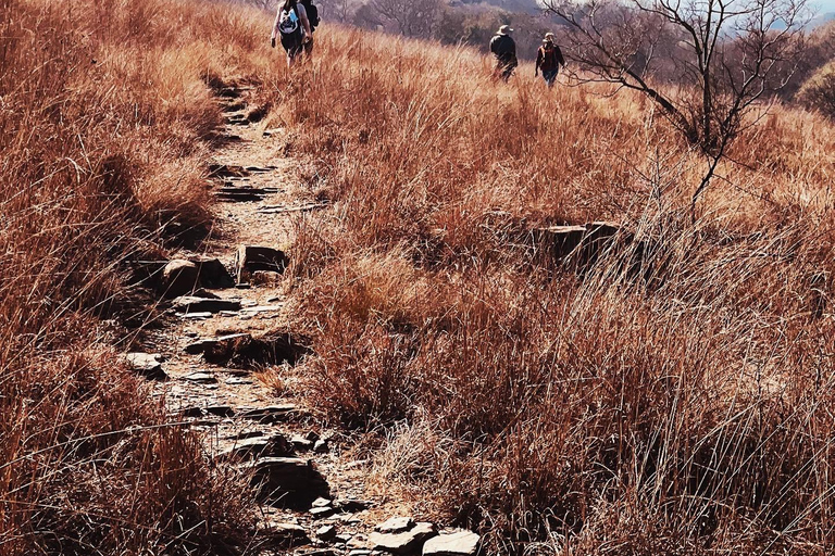 Klipriviersberg Nature Reserve 10km Hike