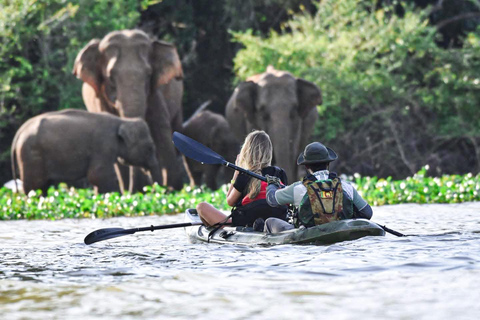 From Sigiriya: Kala Wewa Wildlife Kayaking Adventure