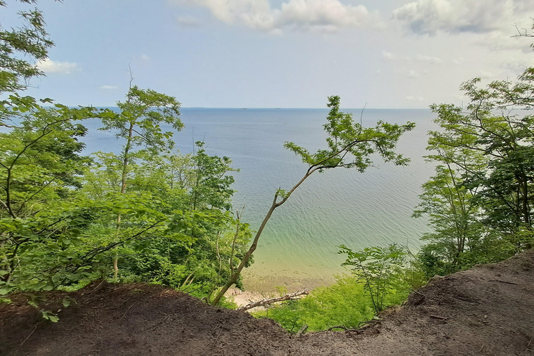 Gdynia: Forest, Cliff, and Beach Guided Walking Tour