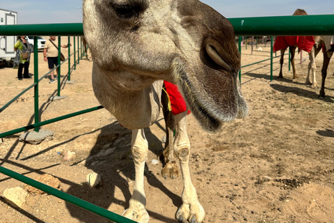 Private Luxury Sunset Desert Safari at Salalah Empty Quarter