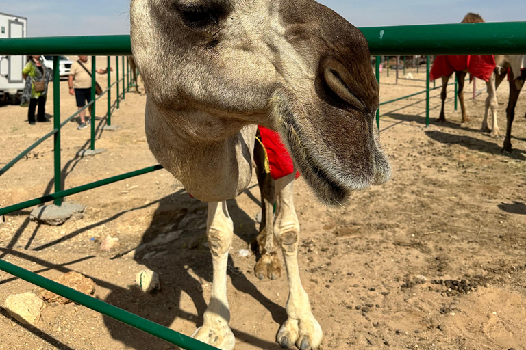 Private Luxury Sunset Desert Safari at Salalah Empty Quarter