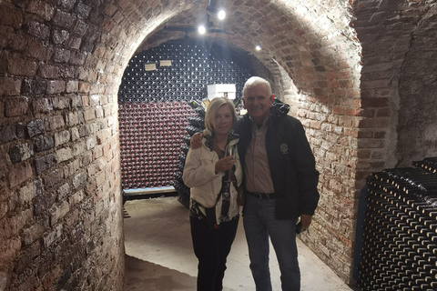 من زغرب رحلة نهارية خاصة للقلعة والنبيذمن زغرب رحلة نهارية خاصة بالقلعة والنبيذ