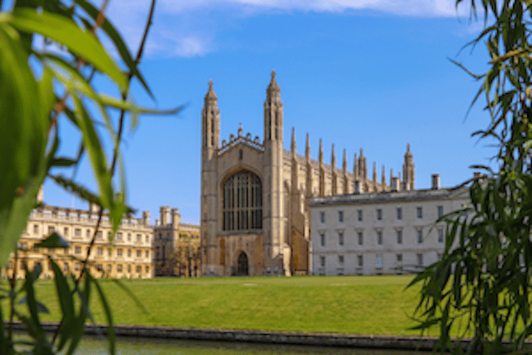 Cambridge: Tour privado de bateo con chófer