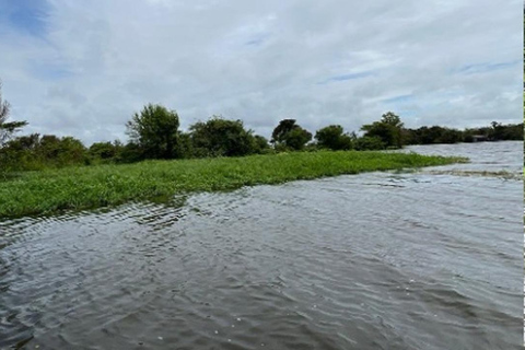 Jari Canal and Flavors of Vitória-Régia: Amazon River Experience