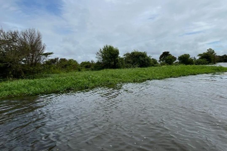 Jari Canal and Flavors of Vitória-Régia: Amazon River Experience
