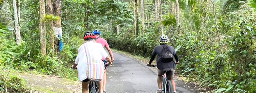 Pédalez au paradis : Bali Wanderlust Sidemen Cycling Tour