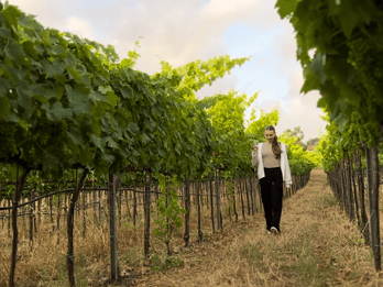 Tropea: degustacja wina i potraw