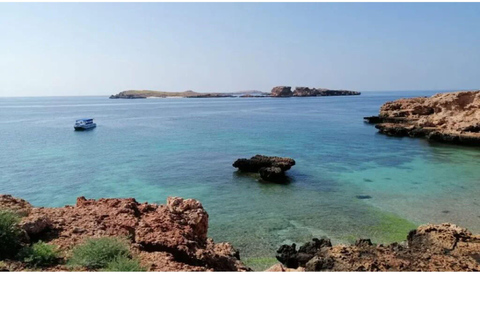 Oman: Snorkeltrip Daymaniyat Eilanden met Lunch