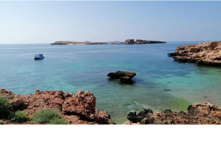 Oman: Snorkeltrip Daymaniyat Eilanden met Lunch