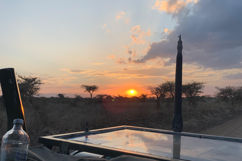 Maasai Mara Day Game Trip in Open Sided 4x4 Safari Jeep
