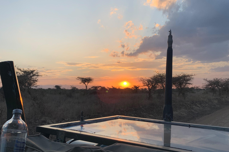 Maasai Mara Day Game Trip in Open Sided 4x4 Safari Jeep