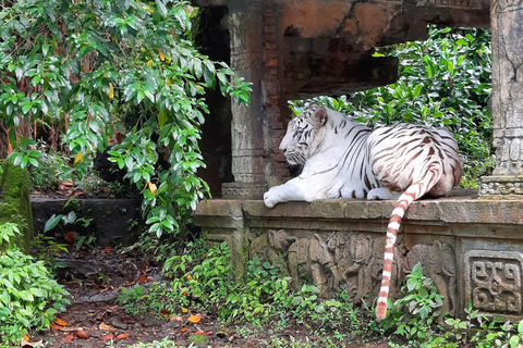 Jakarta : Taman Safari, Panda Palast und Wasserfall