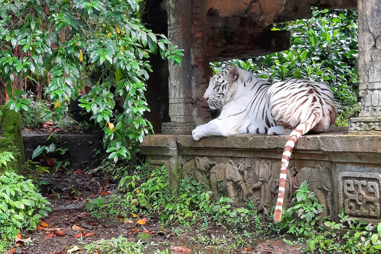 Dżakarta : Taman Safari, Pałac Pandy i wodospad