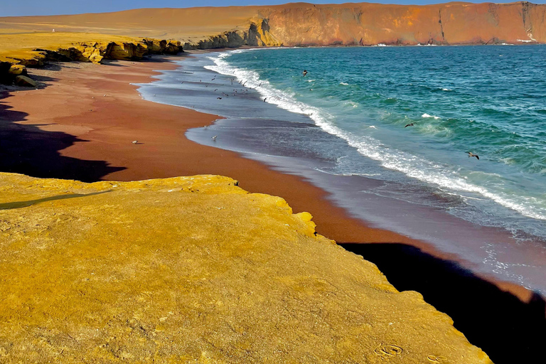 PARACAS NATIONALRESERVAT MED MINIBUGGY