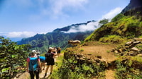 Santo Antão, Hiking Cova Volcano Crater to Ribeira Paúl - Housity