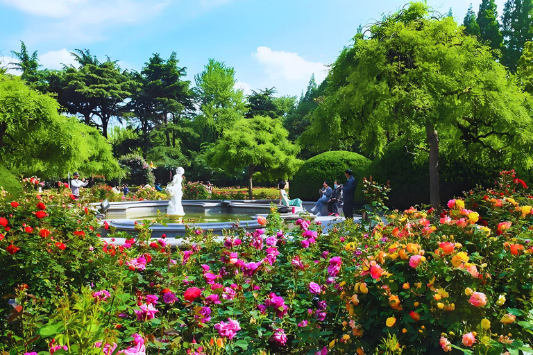 شنغهاي: جولة نصف يوم بالدراجة الكلاسيكية في البلدة القديمة (خيار ليلي)