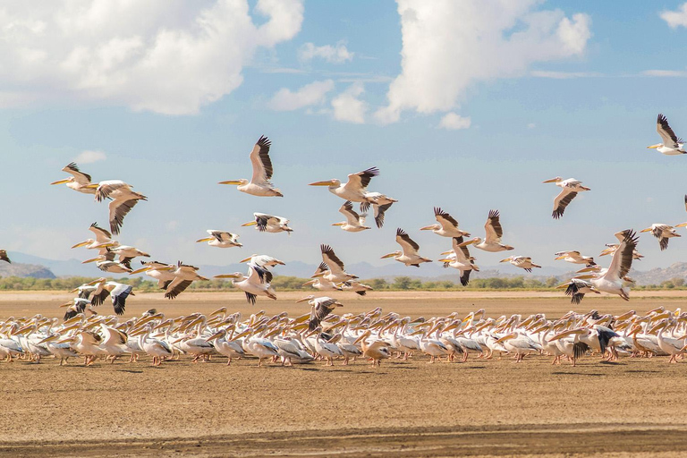 Dar es Salaam: 5-Day Selous and Mikumi National Park Tour