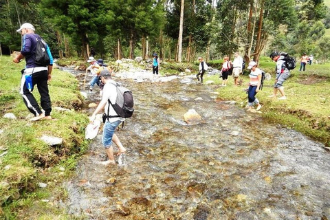 Medellin: Amazing Arvi Natural Reserve
