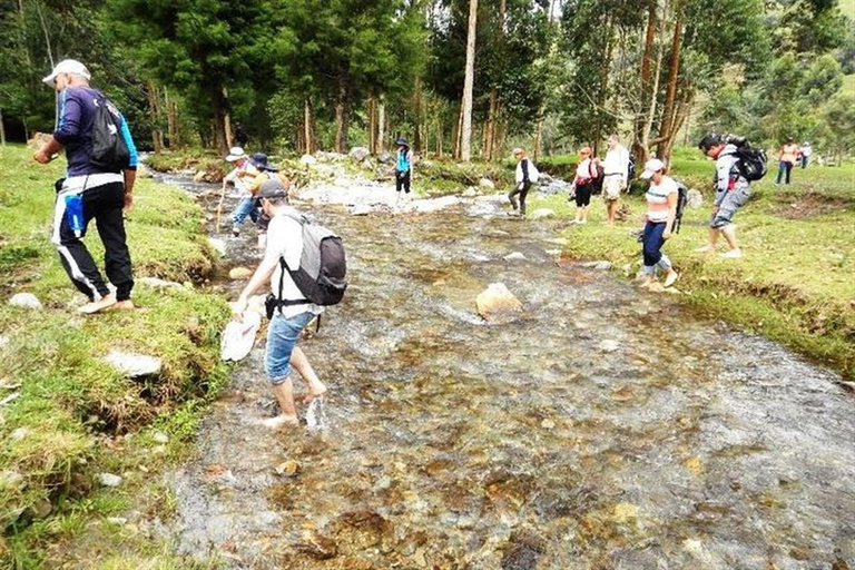 Medellin: Amazing Arvi Natural Reserve