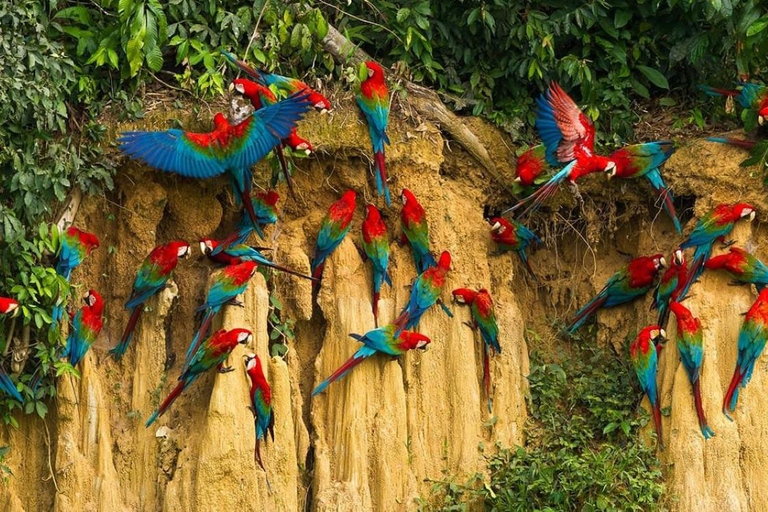 From Cusco: Exploring Manu National Park for 3 days