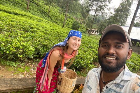 From Kandy: Sigiriya Rock, Dambulla Cave & Safari Day Tour