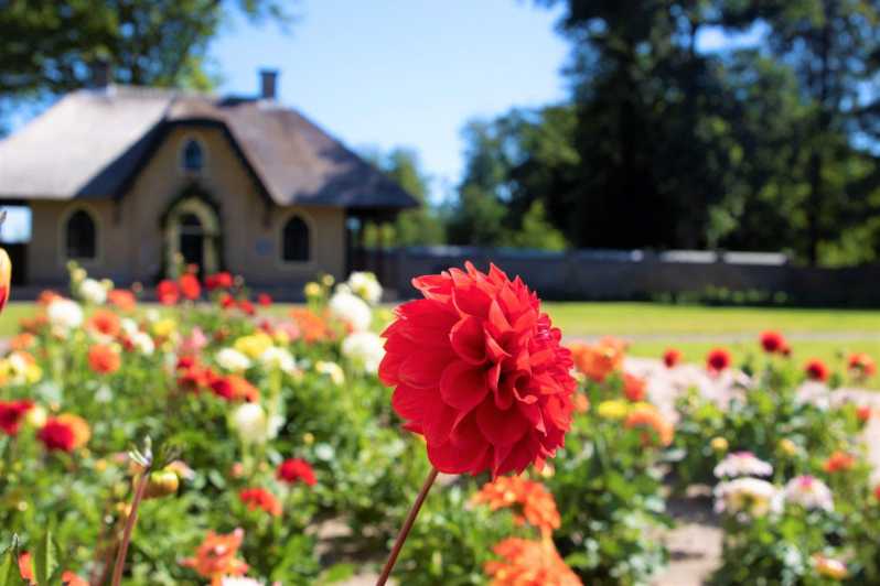 Jednodniowa wycieczka Zamek Keukenhof Ogród kwiatowy i farma kwiatów