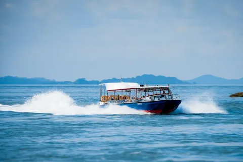 Singapour : Billets pour Albatross Speedboat Adventures