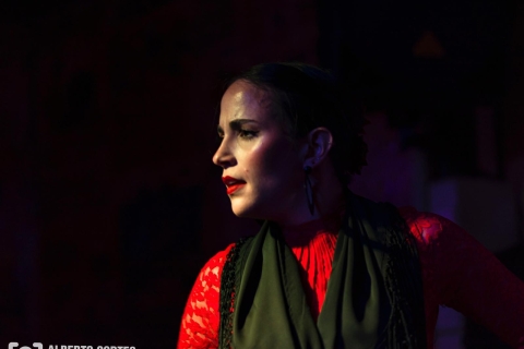 Valencia: Flamenco Show im El Toro y La Luna mit einem Drink