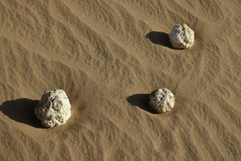 Excursion privée d'une journée de Salalah à Rub Al Khali