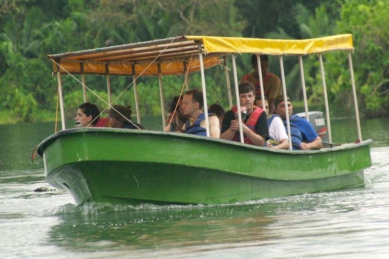 De Panama City: excursion en bateau sur l'île aux singes avec transfert