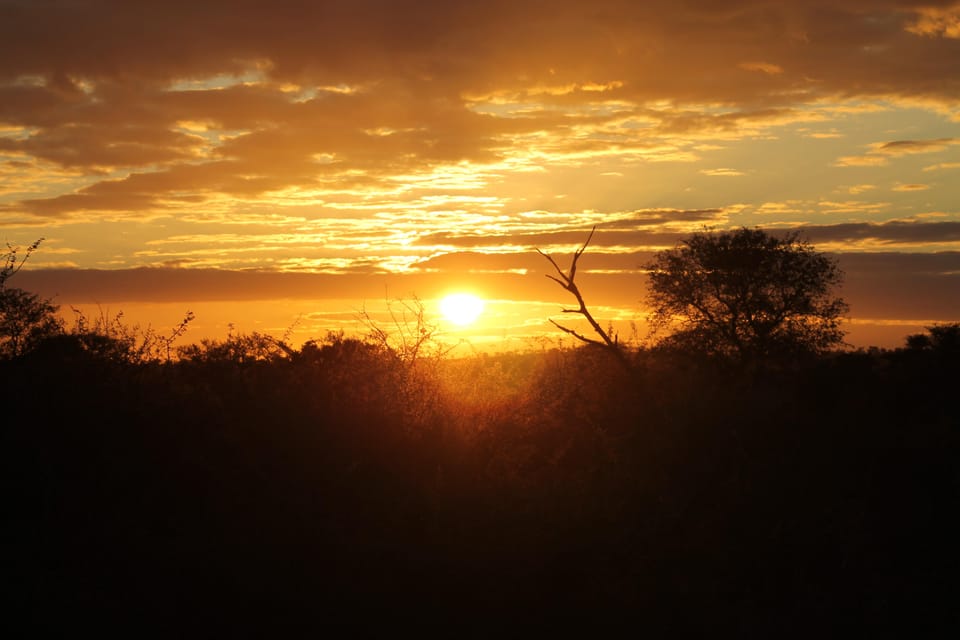 Safari por el Kruger de 5 días con todo incluido y Excursión Panorámica