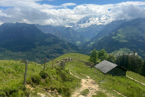 Spiez: Gipfelsturm auf den Niesen mit einem Schweizer Triathleten