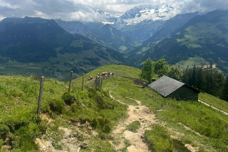 Spiez: Gipfelsturm auf den Niesen mit einem Schweizer Triathleten