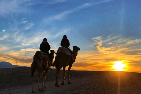 Cena della Maestà di Marrakech con giro in cammello nel deserto di Agafaygiro in cammello nel deserto cena tipica e folklore berbero