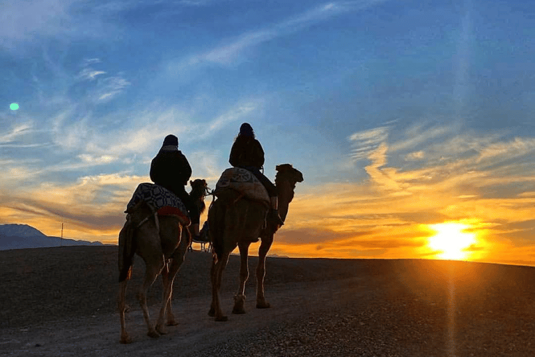 Cena della Maestà di Marrakech con giro in cammello nel deserto di Agafaygiro in cammello nel deserto cena tipica e folklore berbero