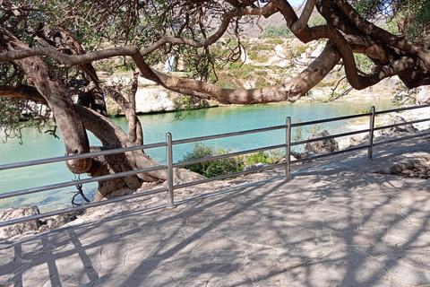 Dhofar: Salalah City and East Salalah Private Tour