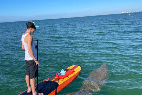 Naples, FL: Guided Standup Paddleboard or Kayak Tour Marco Island: Guided Standup Paddleboard or Kayak Tour