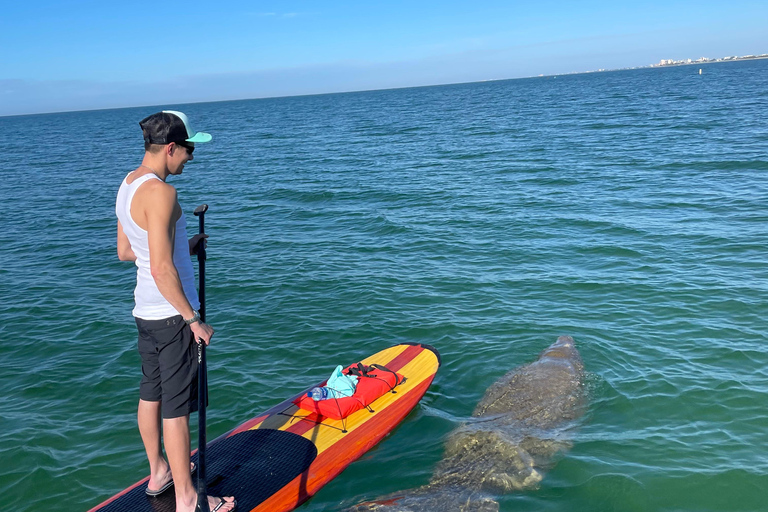 Naples, FL: Guided Standup Paddleboard or Kayak Tour Marco Island: Guided Standup Paddleboard or Kayak Tour