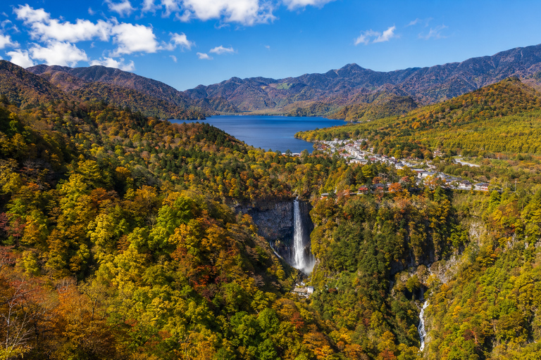 Tokyo: Nikko World Heritage & Nature Private Customized Tour