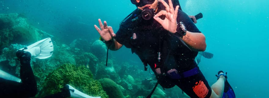 Ko Tao : Essayez la plongée sous-marine pendant une journée